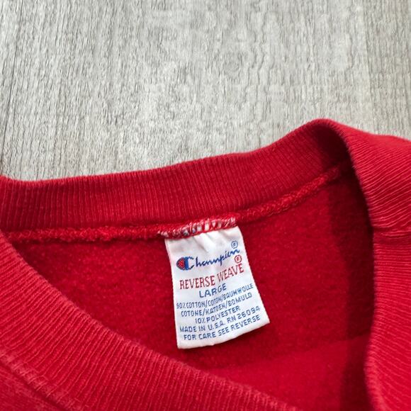 Vintage Champion Reverse Weave Sweatshirt Large Wisconsin Detroit Alumni Club - Picture 5 of 8